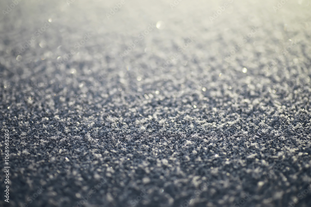 Winter Frost Sparkling on Snowy Surface in Early Morning Light Winter Frost Sparkling on Snowy Surface in Early Morning Light