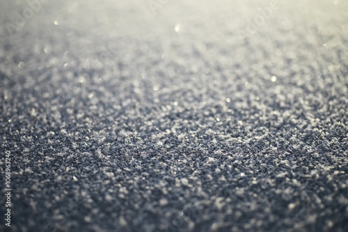 Winter Frost Sparkling on Snowy Surface in Early Morning Light