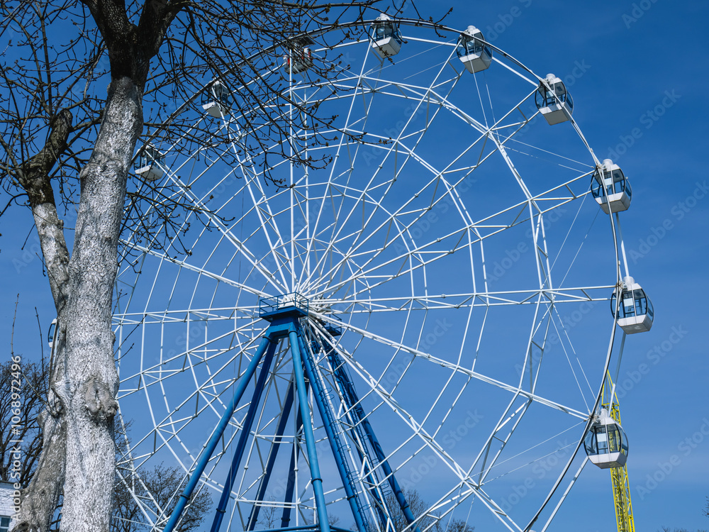 Fototapeta premium Ferris wheel in the park on the background of a tree without leaves. A mechanical attraction in the form of a large vertically mounted wheel with a passenger cabin attached to the rim.
