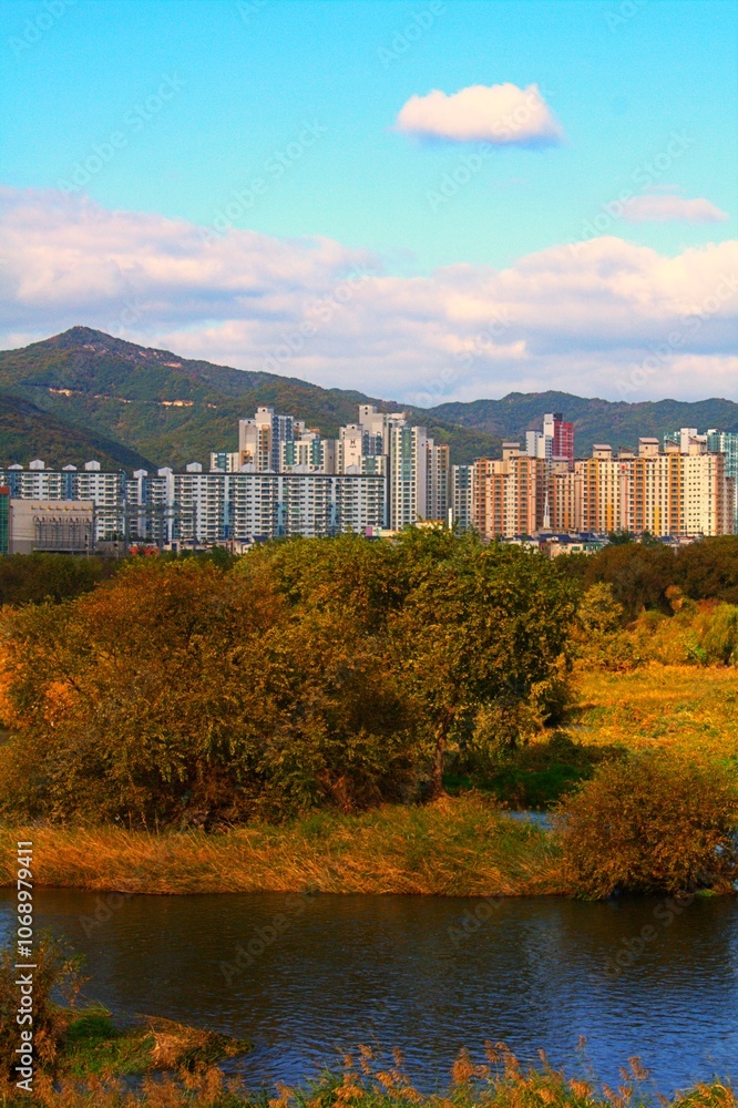 Obraz premium 대구광역시 안심동 금호강