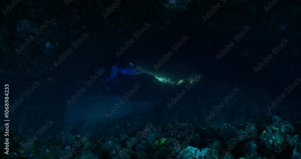 cave diving underwater scuba divers exploring cave dive with torch light in cavern ocean scenery cave diving underwater scuba divers exploring cave dive with torch light in cavern ocean scenery
