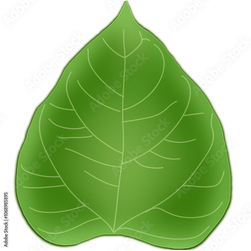 Green leaf