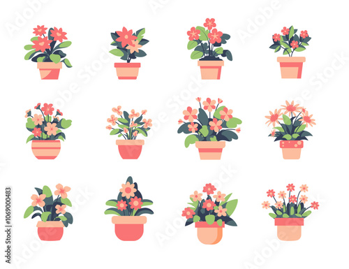 Cute flowers in a pot, vector illustration set, collection of potted house plant, gardening houseplants in planter for interior decoration, pink flower pot clipart
