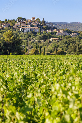 JOUCAS, PROVENCE, FRANCE: Luberon vineyards, "Monts du Vaucluse" wine region, green vine field and Joucas hilltop village in background, with traditional stone houses and terracotta roof tiles