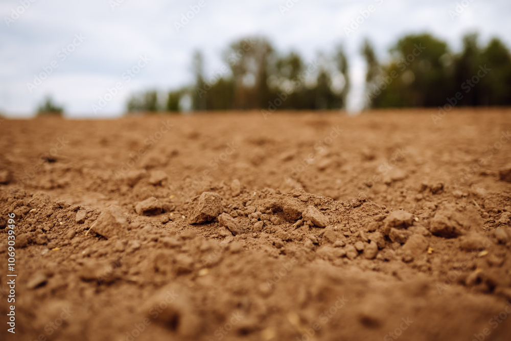 Rural landscape. Close-up of black soil prepared before sowing plants, vegetables, seed in sunset light. Fertile land texture. Rural landscape. Close-up of black soil prepared before sowing plants, vegetables, seed in sunset light. Fertile land texture.