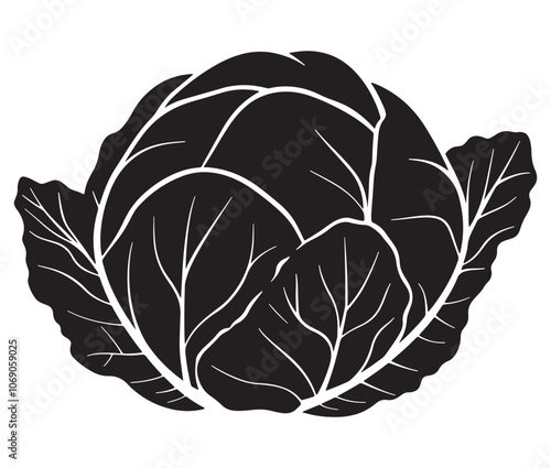 Illustration of a cabbage with a leaf, Cabbage silhouette icon, Illustration of a cabbage