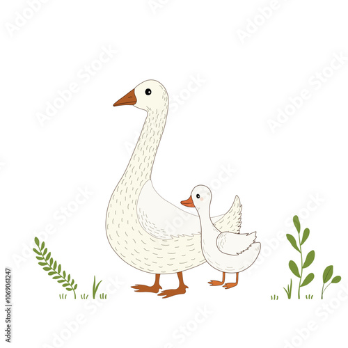 Card with cartoon gooses and field grass on white background
