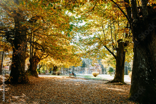 Park in Elati, Thessaly, Greece photo