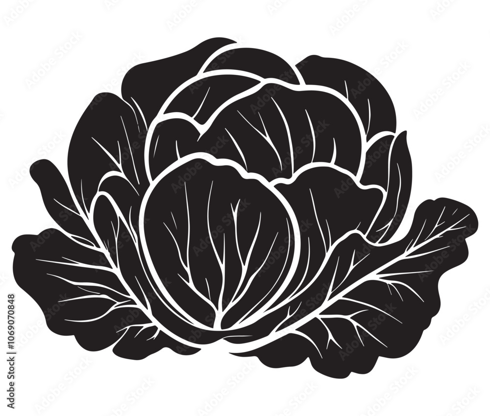 Obraz premium Illustration of a cabbage with a leaf, Cabbage silhouette icon, Illustration of a cabbage