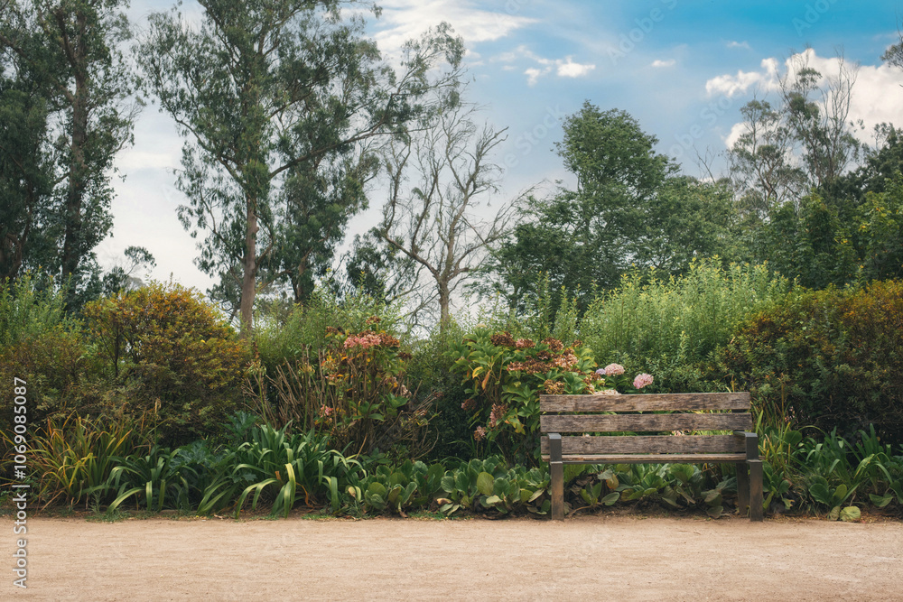 Lonely bench amidst beautiful plants at trees in background, amazing lokation for wedding shooting. Wonderful natural park in Portugal - Sintra. Perfectly place for relaxing Lonely bench amidst beautiful plants at trees in background, amazing lokation for wedding shooting. Wonderful natural park in Portugal - Sintra. Perfectly place for relaxing