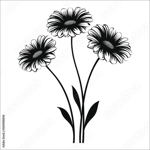 Gerbera Daisies Flower Silhouette Bundle Set on a White Background