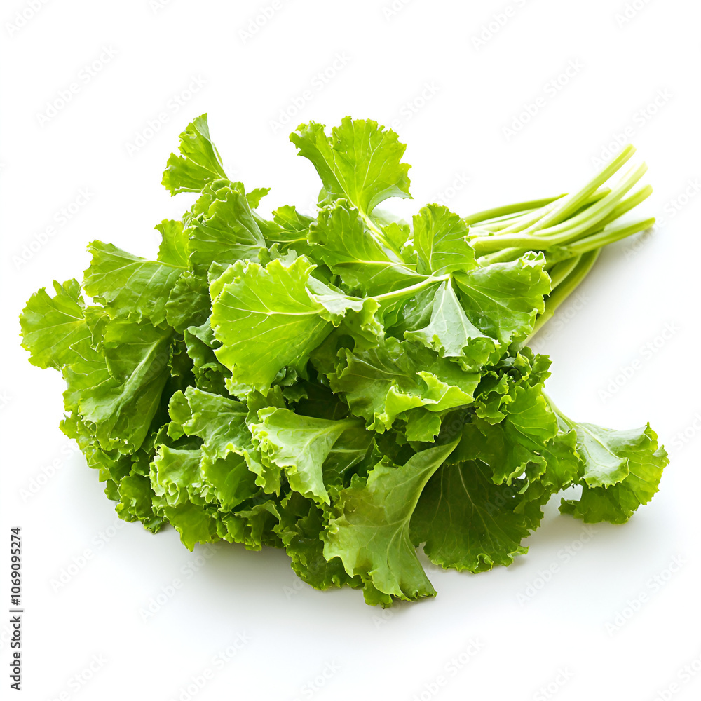 Korean green mustard isolated Chinese mustard Clipart Fresh mustard Greens bundle illustration
Korean green mustard isolated Chinese mustard Clipart Fresh mustard Greens bundle illustration