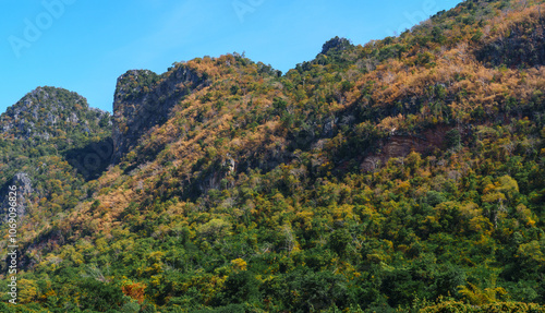 mountains trees and blue sky