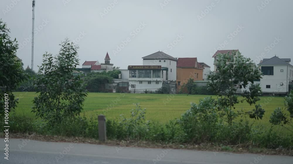 small village next to cereal crop fields near busy road in vietnam small village next to cereal crop fields near busy road in vietnam