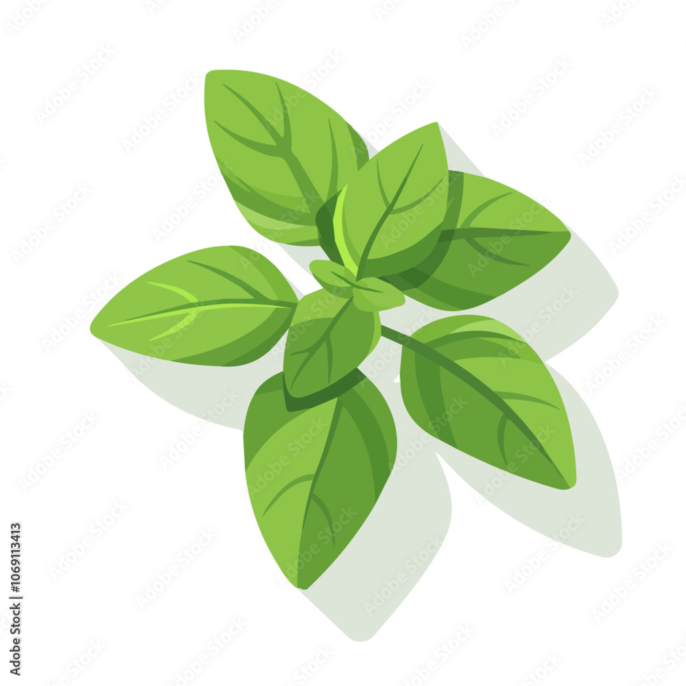 2D flat vector illustration basil icon isolated on a white background.
2D flat vector illustration basil icon isolated on a white background.