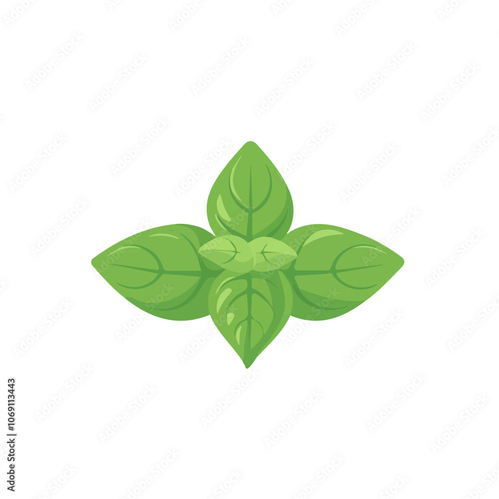 2D flat vector illustration basil icon isolated on a white background.
2D flat vector illustration basil icon isolated on a white background.