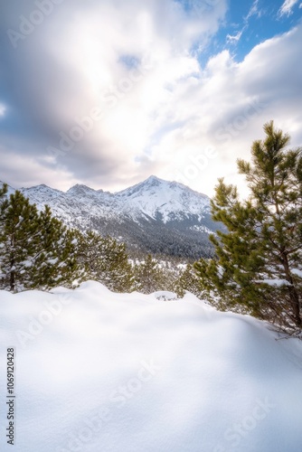 Snowy mountain landscape with pine trees in the foreground