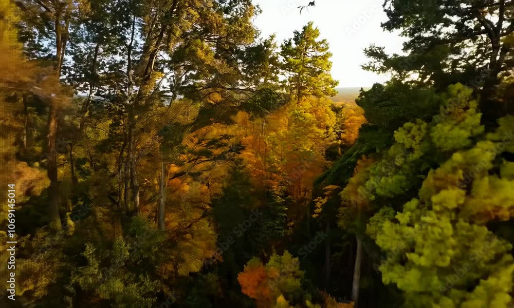 Aerial fpv racing drone flying over through the colorful branches of beech trees in a forest in autumn Aerial fpv racing drone flying over through the colorful branches of beech trees in a forest in autumn