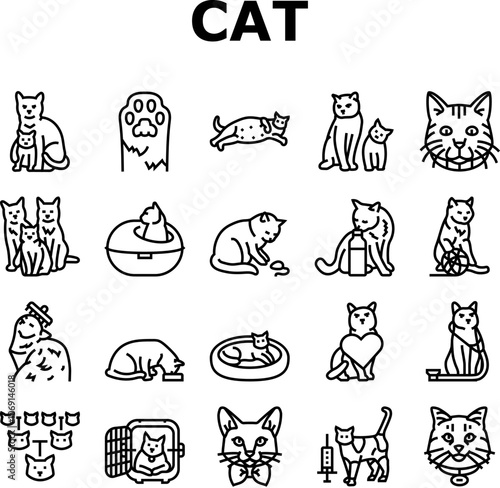 cat breeding genetics cattery icons set vector. pedigree lineage, purebred hybrid, mating selection, traits coat, temperament health cat breeding genetics cattery black contour illustrations