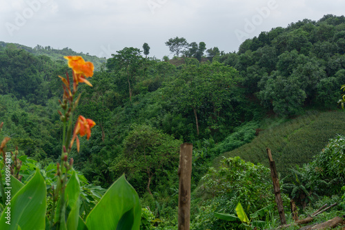 A beautiful view of the combination of mountains and sky. Aerial view of a beautiful hilly landscape of Bandarban. Bandarban Hills is a tourist spot in Bangladesh. photo