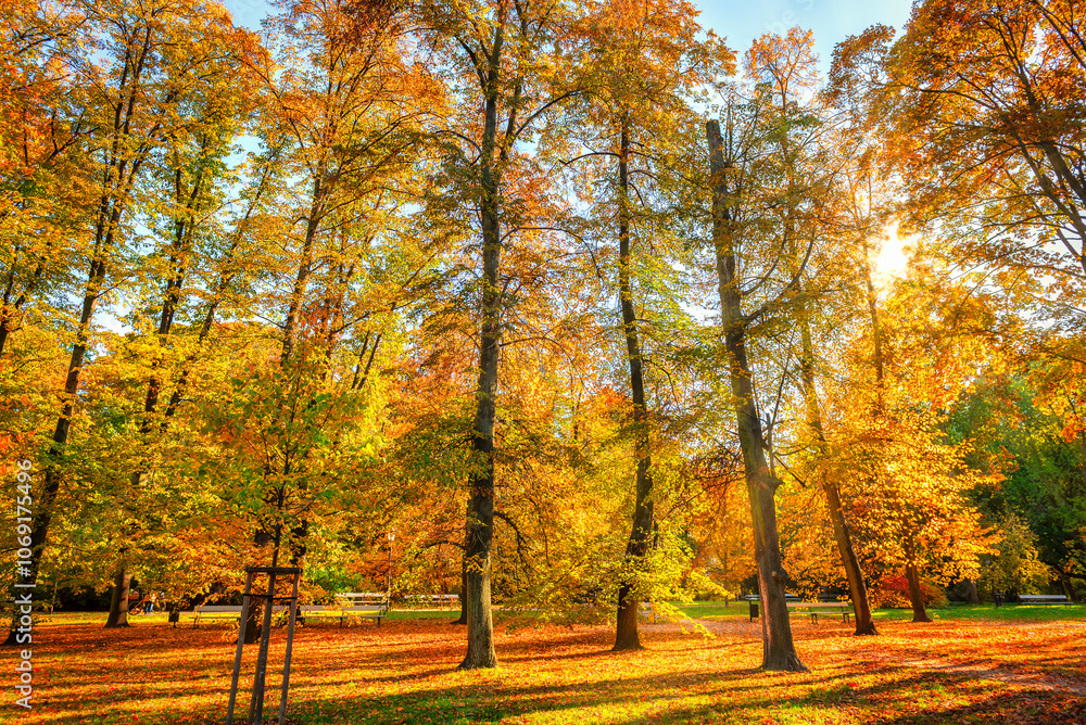 Naklejka premium Park in autumn colors