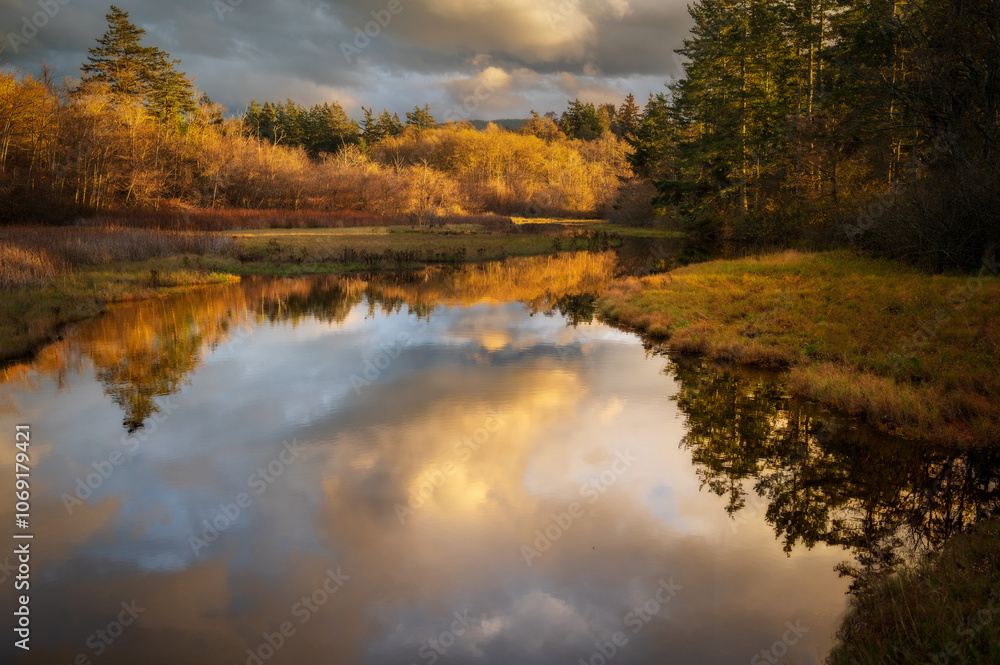 Beautiful wetland area filled. with golden sunset light and clouds reflecting in the water. Seen in the Salish Sea area of western Washington state. An important habitat for fish and migrating birds. Beautiful wetland area filled. with golden sunset light and clouds reflecting in the water. Seen in the Salish Sea area of western Washington state. An important habitat for fish and migrating birds.