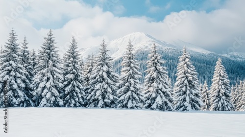 Snow-covered pine trees with a mountain in the background, bright winter sunlight, minimal sky details, clean composition, serene winter atmosphere.