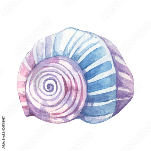 Spiral seashell in blue and lavender watercolor tones. Moon snail shell clipart. Marine life whimsical illustration works beautifully on notebook covers, fabric patterns, or any coastal decor product photo