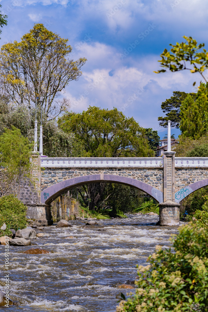 Scenic stone bridge over Tomebamba River in Cuenca, Ecuador, surrounded by lush greenery and trees under a cloudy blue sky Scenic stone bridge over Tomebamba River in Cuenca, Ecuador, surrounded by lush greenery and trees under a cloudy blue sky