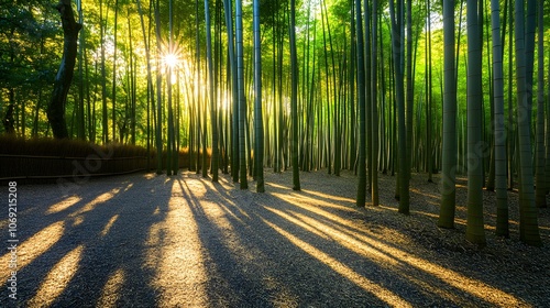 Peaceful bamboo grove featuring tall, slender stalks with dappled sunlight casting intricate patterns on the forest floor, creating a tranquil and serene atmosphere. photo