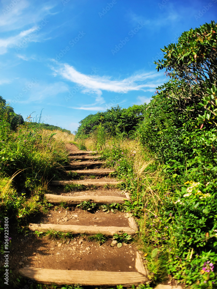 Overgrown rocky path in a sunny field, pathway steps in a grassy meadow on a beautiful summer day, a blue sky over tall grass and plants in the park Overgrown rocky path in a sunny field, pathway steps in a grassy meadow on a beautiful summer day, a blue sky over tall grass and plants in the park