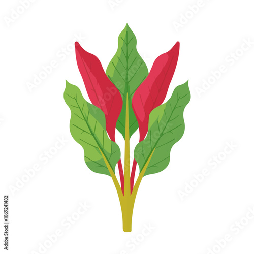 2D flat vector illustration sorrel icon isolated on a white background.

