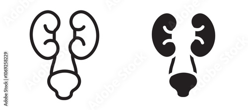 Urology vector icon.