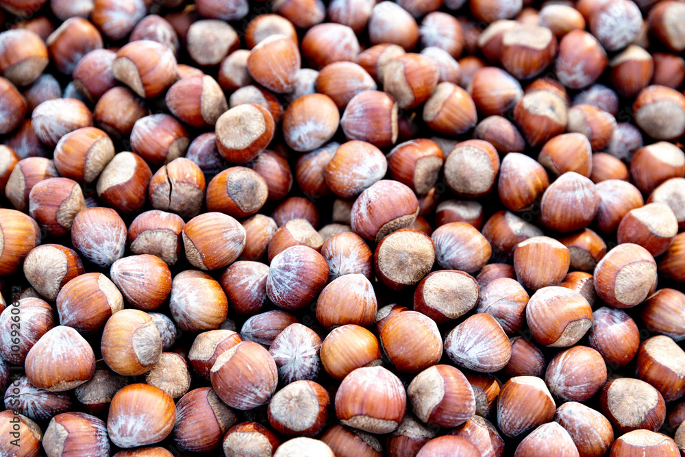 Beautiful Arrangement of Hazelnuts in Natural Shells Beautiful Arrangement of Hazelnuts in Natural Shells