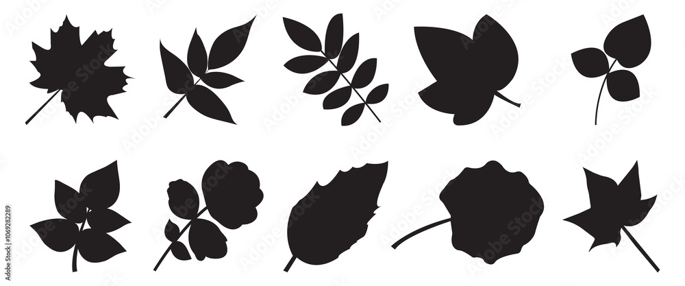 Fototapeta premium Set of silhouettes of various tree leaves, black monochrome autumn leaves collection. The concept of nature, autumn, leaf fall. Seasonal decoration on isolated background.