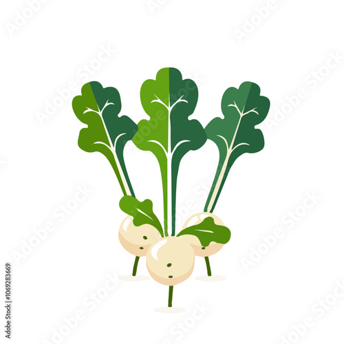 2D flat vector illustration turnip greens icon isolated on a white background.

