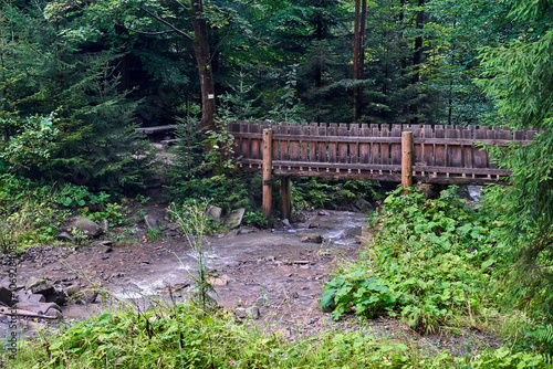 Fototapeta Naklejka Na Ścianę i Meble -  wooden bridge on a hiking trail over a stream in the Beskidy Mountains