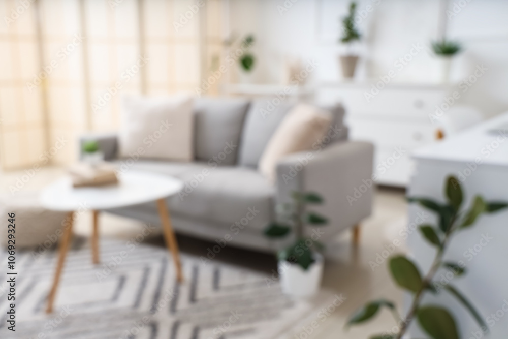 Fototapeta premium Blurred view of light living room with grey sofa, table and plants