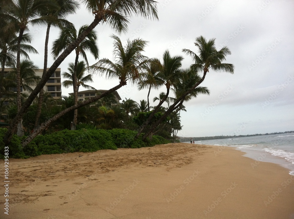 A young woman walking on a skateboard along a coastal pathway, surrounded by palm trees and with the ocean visible in the background. A young woman walking on a skateboard along a coastal pathway, surrounded by palm trees and with the ocean visible in the background.