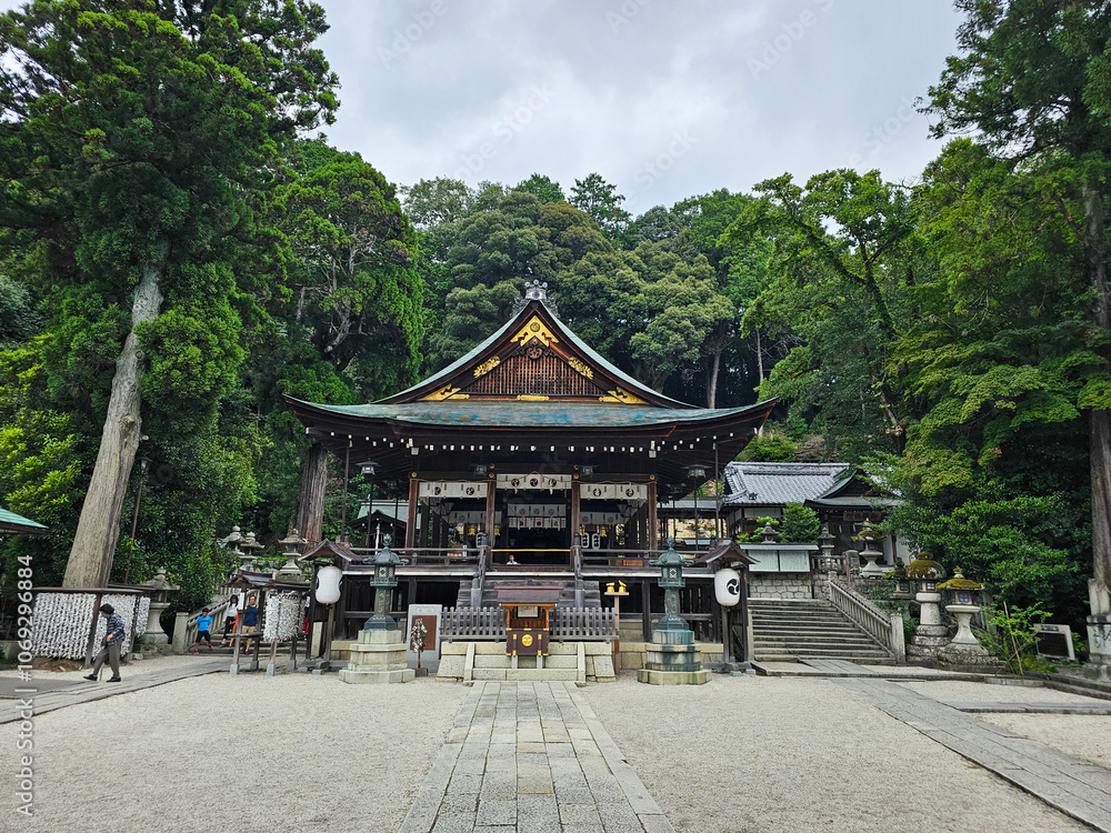 Japan trip
Japan trip