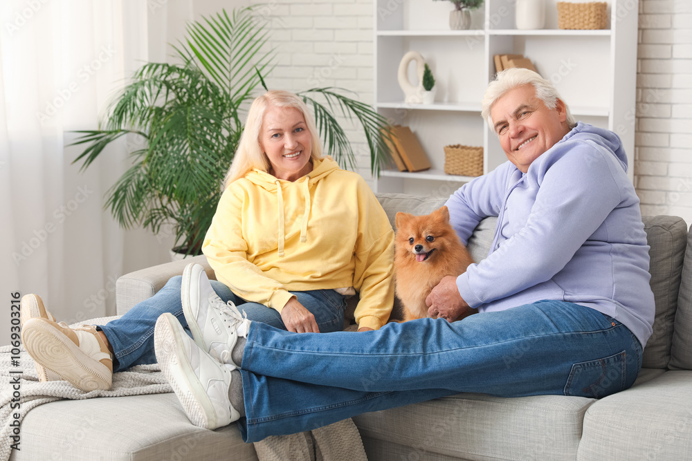 Happy senior couple with cute Pomeranian dog sitting on sofa at home Happy senior couple with cute Pomeranian dog sitting on sofa at home