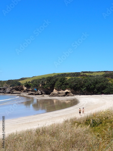 peaceful beach with blue sky in the coast of new zealand