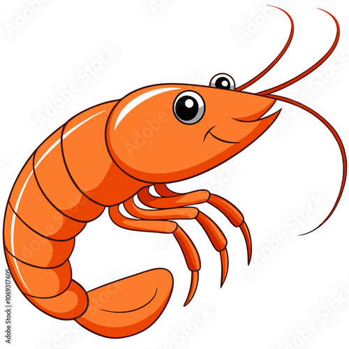 illustration of shrimp