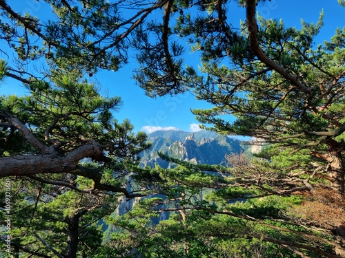 한국 설악산 공룡능선 사진
