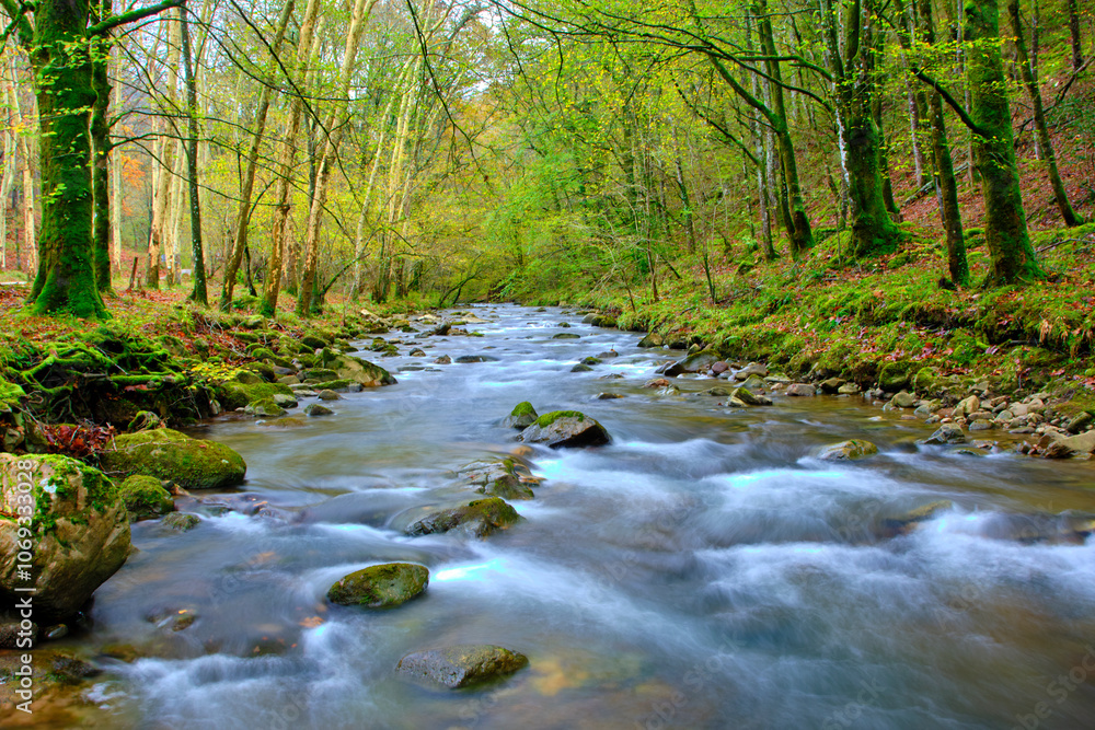 Bayones River flowing through forest in Cabuerniga Valley, Cantabria, Spain. Bayones River flowing through forest in Cabuerniga Valley, Cantabria, Spain.