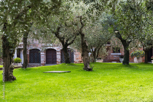 garden inside of monastery 