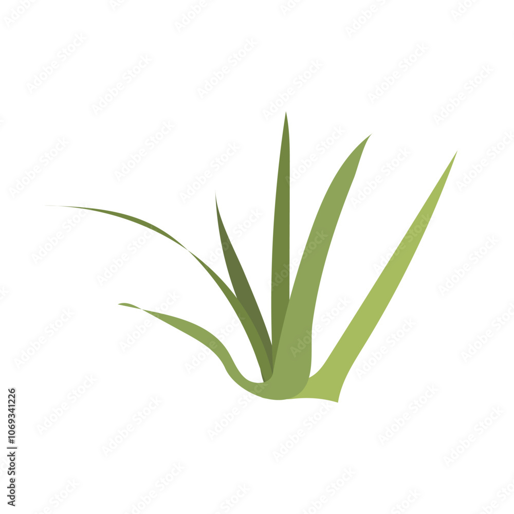 Obraz premium Desert grass shrub in flat design. Wilderness green herb bush with leaves. Vector illustration isolated.