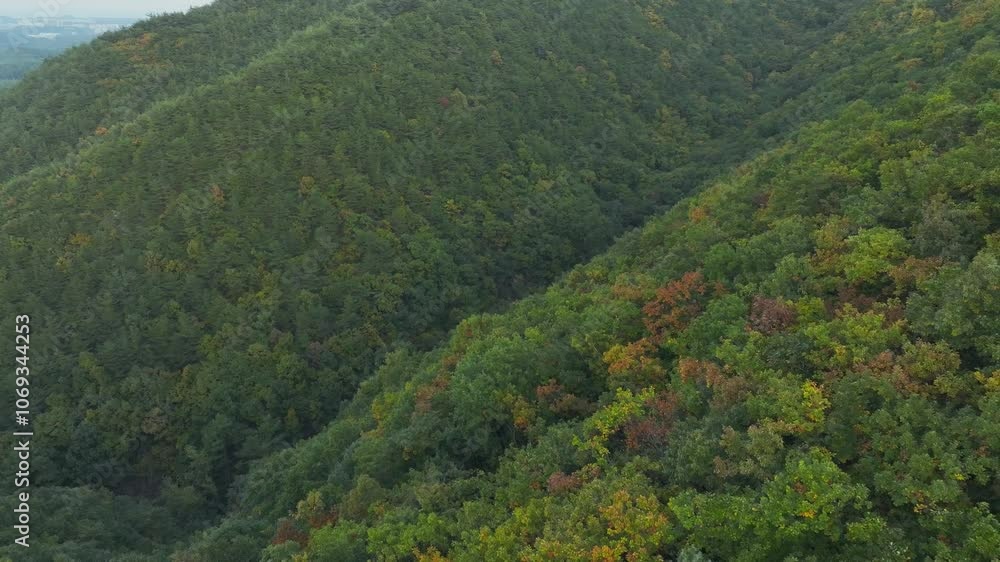 Drone View of Gangneung City in South Korea, Gangwon-do, mountains, autumn leaves, 60fps Drone View of Gangneung City in South Korea, Gangwon-do, mountains, autumn leaves, 60fps