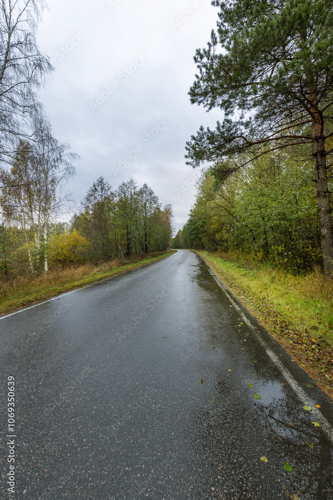 A road with trees on either side and a cloudy sky A road with trees on either side and a cloudy sky