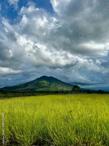 field and sky